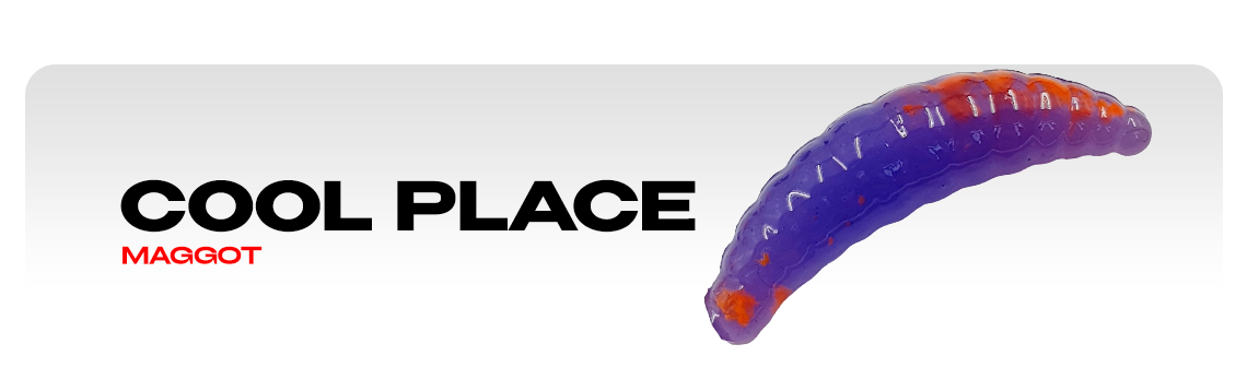Силиконовые приманки Cool Place Maggot