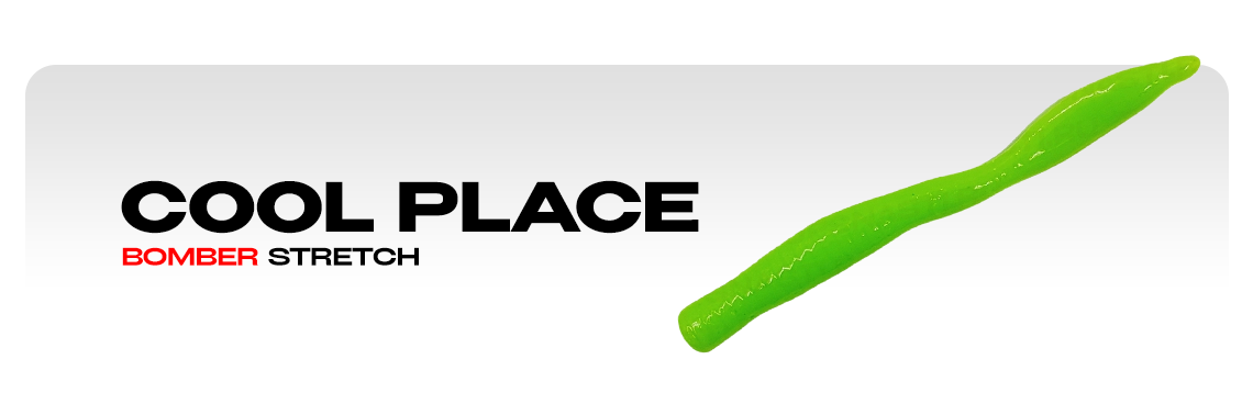 Силиконовые приманки Cool Place Bomber Stretch