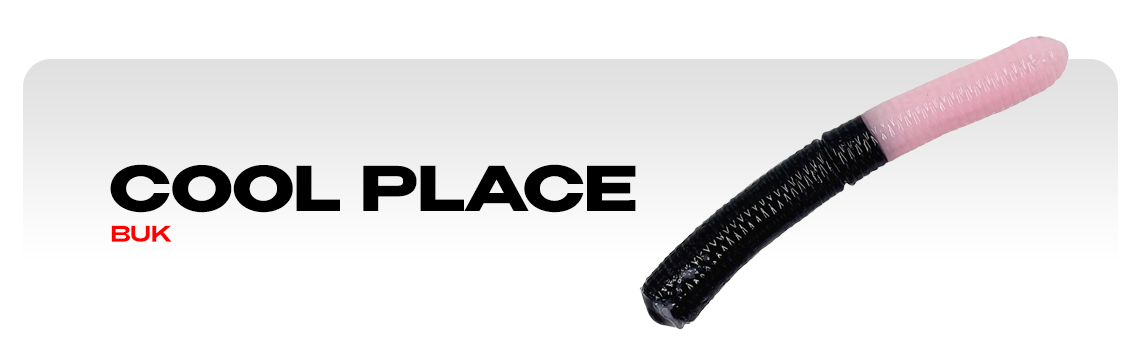 Силиконовые приманки Cool Place Buk