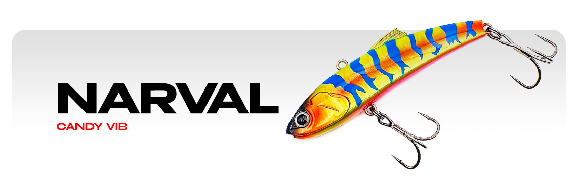 Раттлины Narval Candy Vib