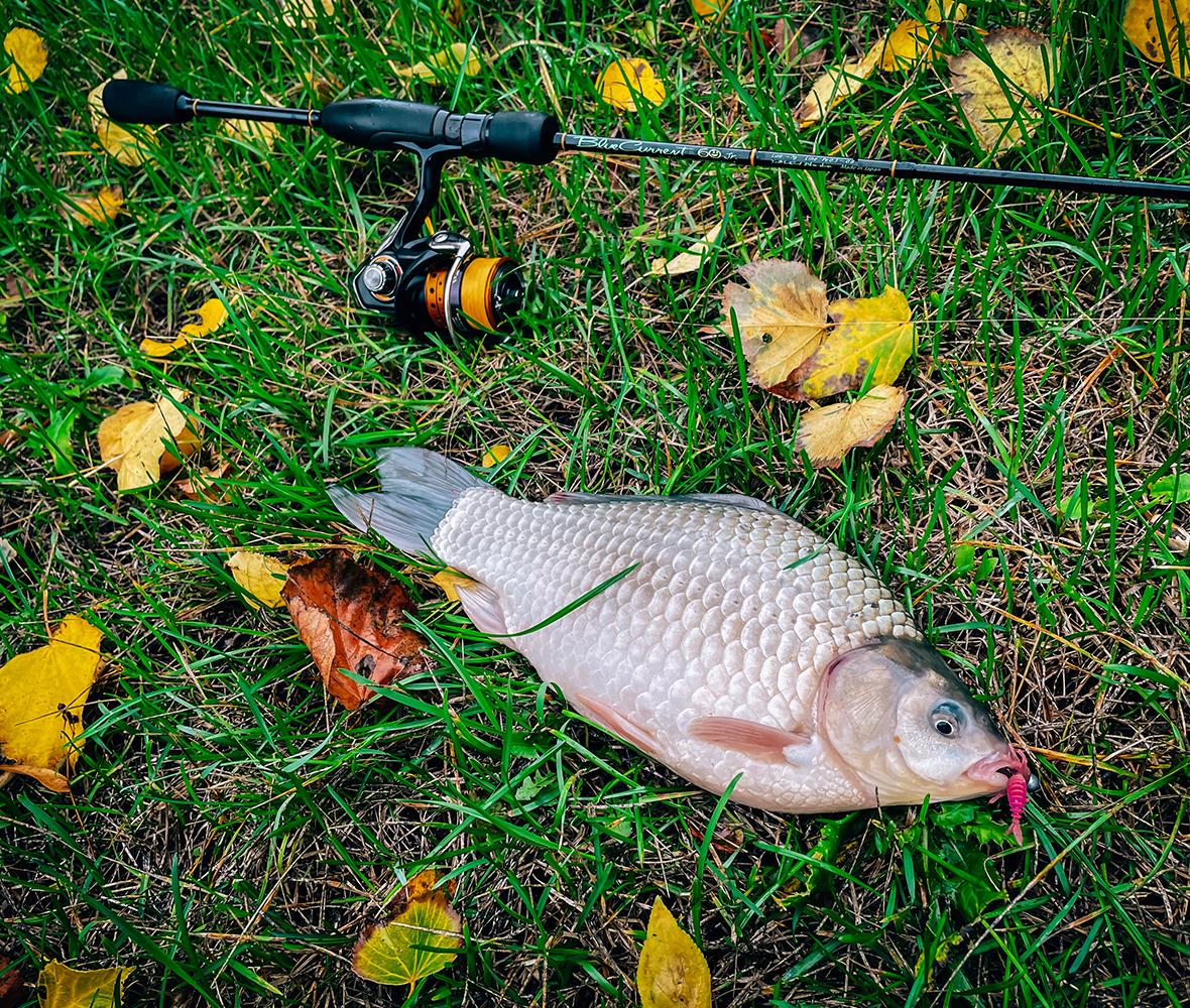 Yamaga Blanks BlueCurrent Junior