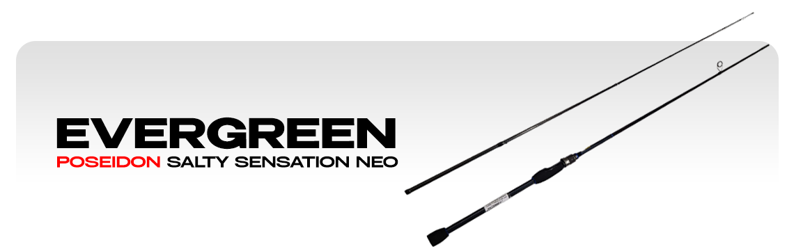 Спиннинги EverGreen Poseidon Salty Sensation Neo