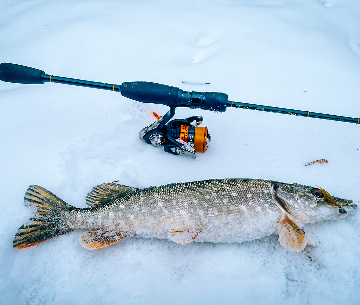 Зимняя спиннинговая рыбалка