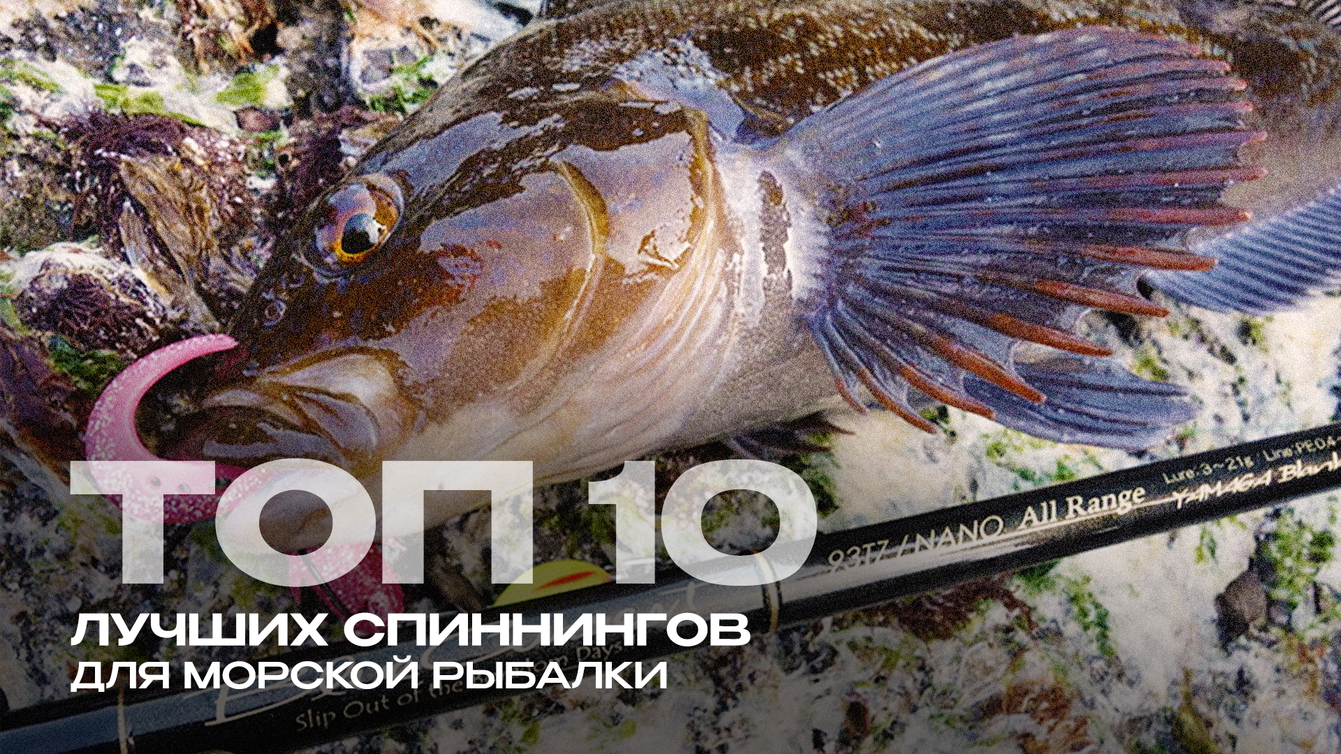 Лучшие спиннинги для морской рыбалки