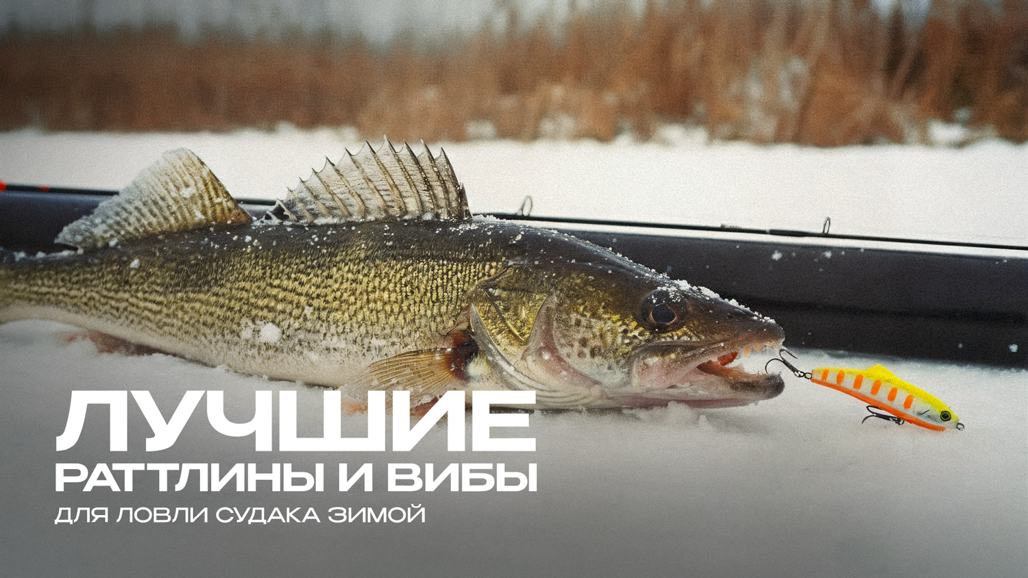 Лучшие раттлины на судака