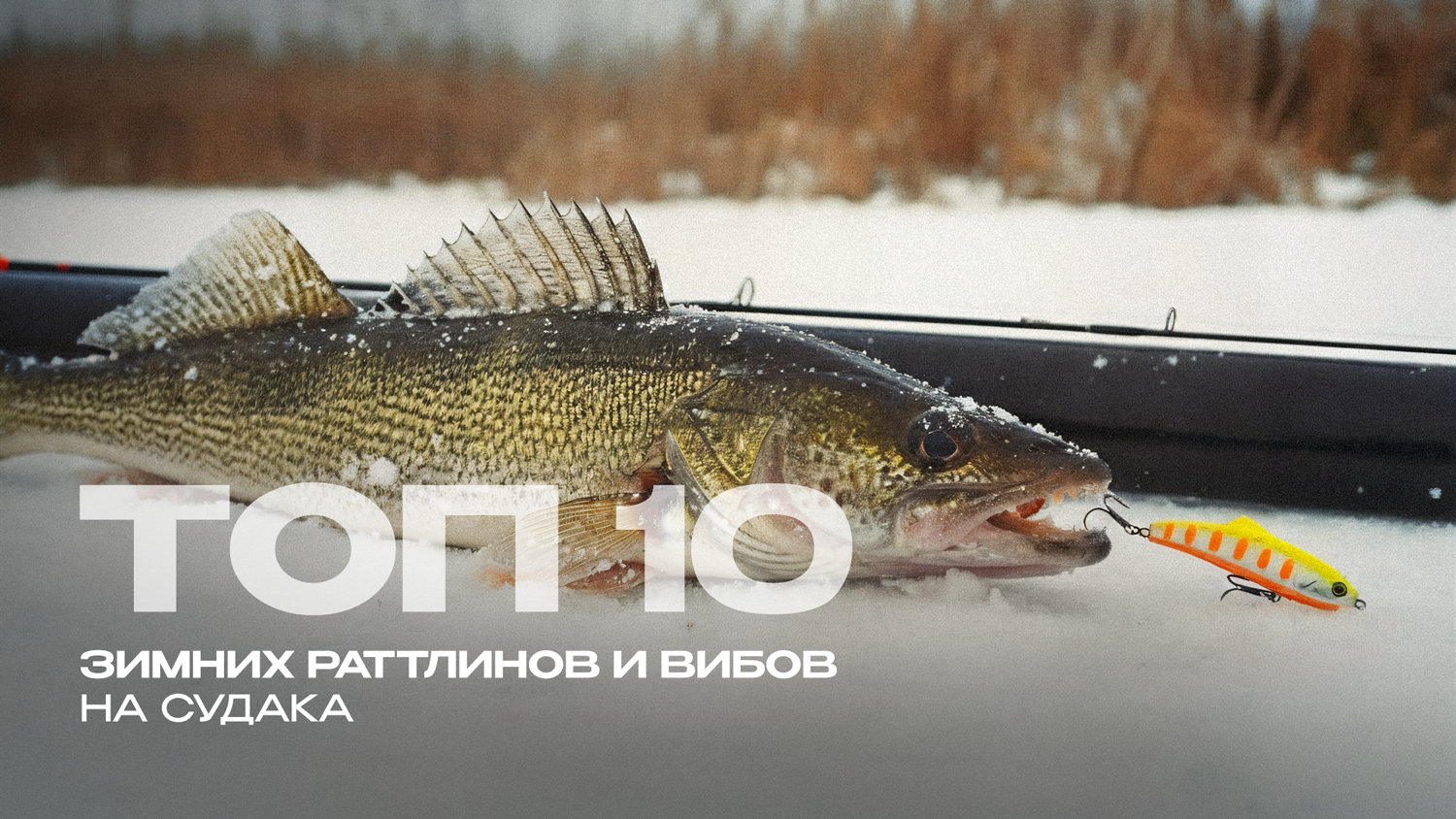 Лучшие раттлины на судака