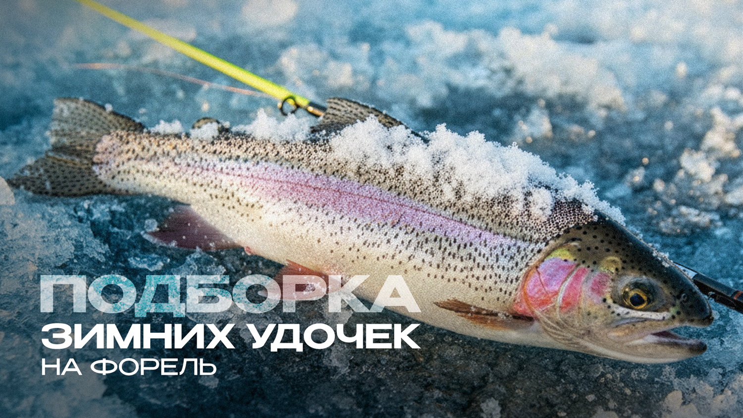 ТОП-10 зимних удочек на форель