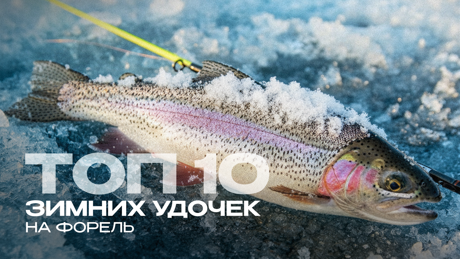 ТОП-10 зимних удочек на форель