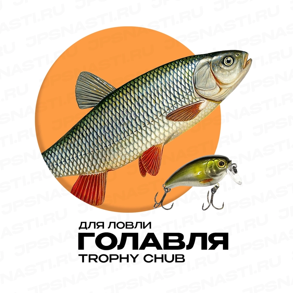 Набор воблеров для ловли голавля Японские снасти Chub Set, Trophy Chub