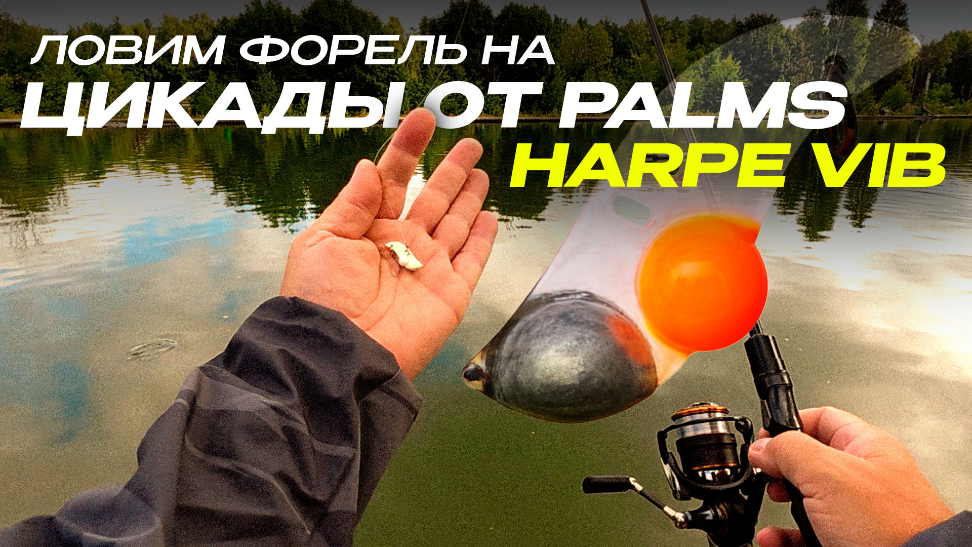 Цикады Palms Harpe Vib