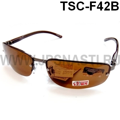 Поляризационные очки Two Seem TSC-F42B