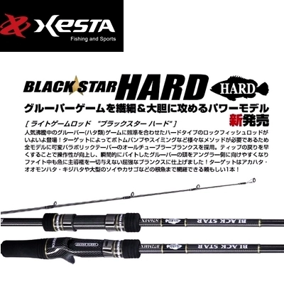 Спиннинги Xesta Black Star Hard